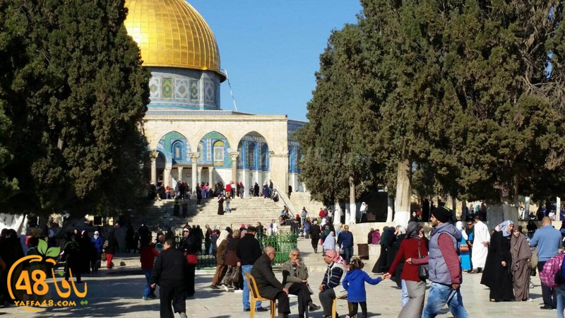 quds a7bab aqsa (1).JPG